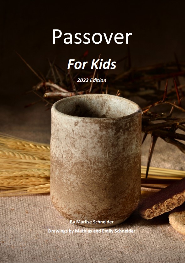 Passover-Themes-for-Kids_Cover.jpg